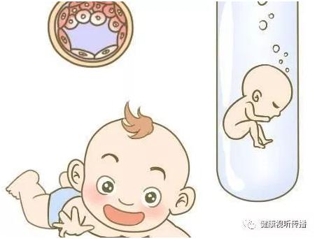 关于丹韵生殖